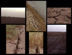 Texas drought cracks